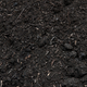 Image for article titled How to Awaken Your Lawn from Its Winter Slumber
